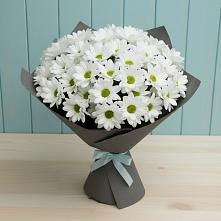 Букет цветов из:  Хризантемы #REPLACE_PRED# Ухте