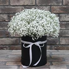 Цветочная композиция из Гипсофила в шляпной коробке в Ухте