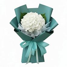 Букет цветов из:  Гортензия в Ухте